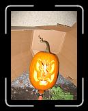 Thanksgiving and Halloween 096 * 2272 x 1704 * (1.79MB)